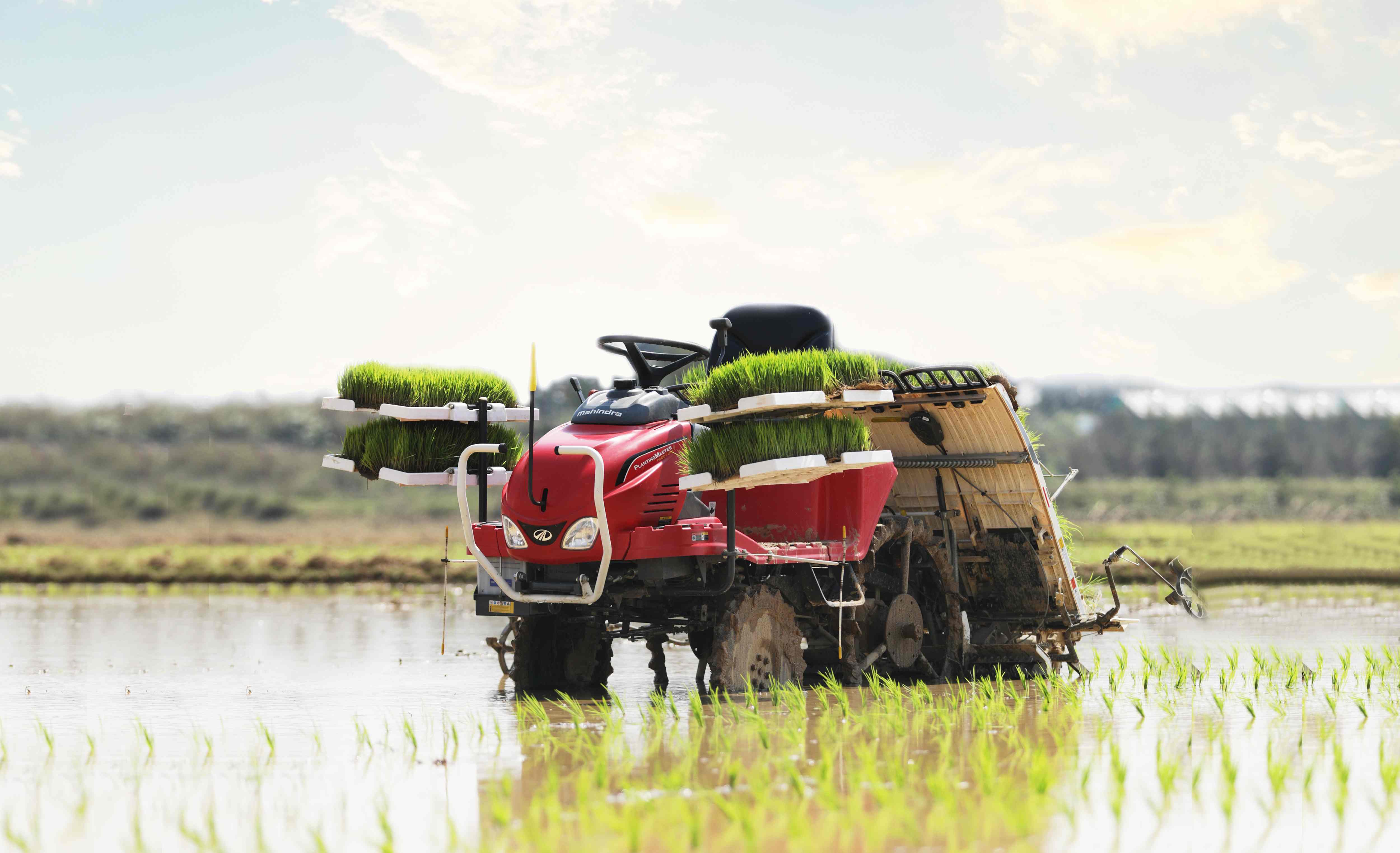 The Paddy Transplanter Revolutionizing Rice Farming